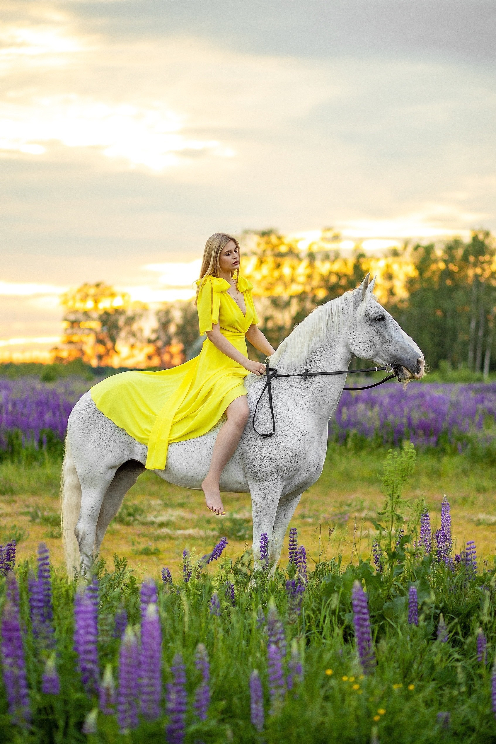 Фотосесии с лошадьми